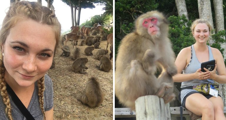  Diptyque: À droite, une jeune femme aux cheveux blonds et tresses au premier plan, avec un groupe de singes macaques en arrière-plan. À gauche, un singe macaque au premier plan et une jeune femme blonde souriante assise à l'arrière-plan.