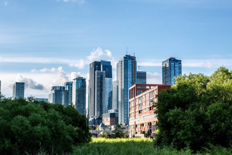 Downtown landscape with trees in the foreground