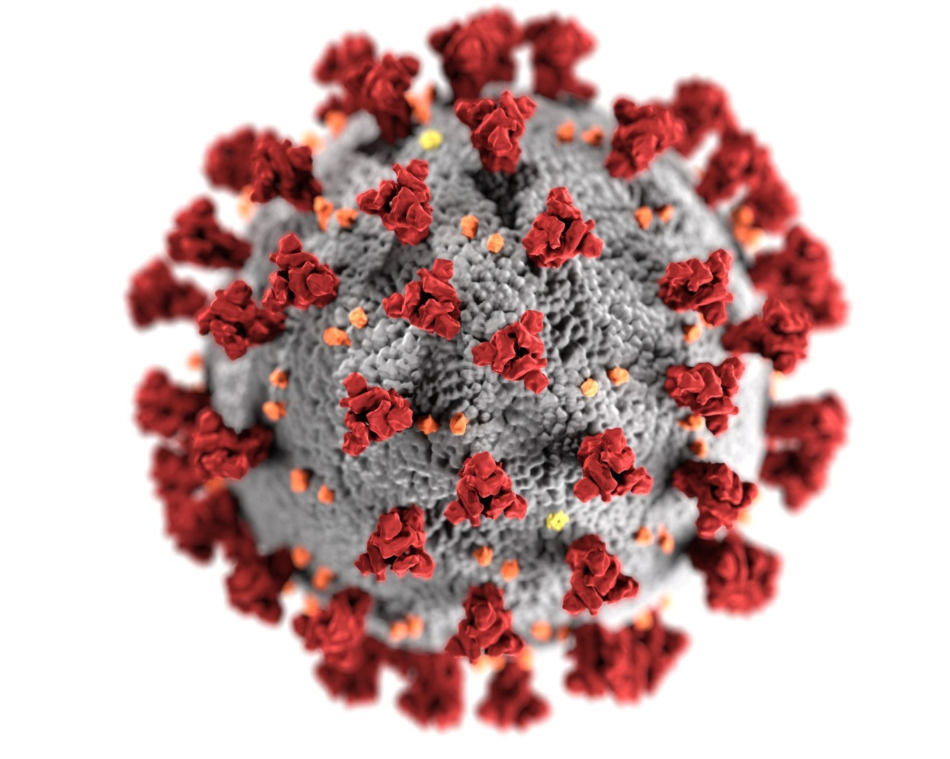 La COVID-19 n’est pas la grippe, mais elle apporte des enseignements sur la façon de combattre celle-ci, affirment des chercheurs de Concordia