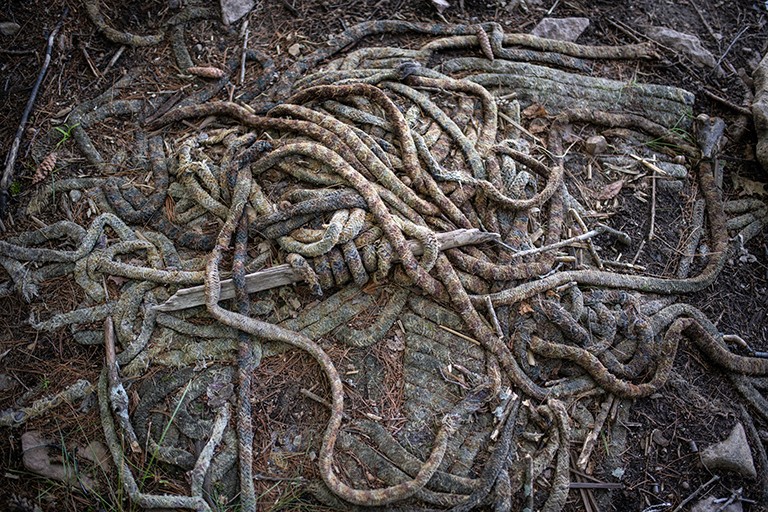 <em>Entanglement</em>, 2020, par Andréanne Abbondanza-Bergeron. | Image fournie avec la permission de l'artiste