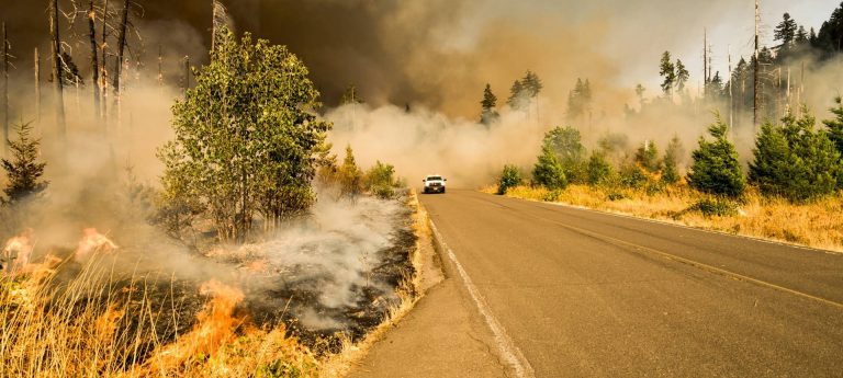 Vehicle driving through forest fire