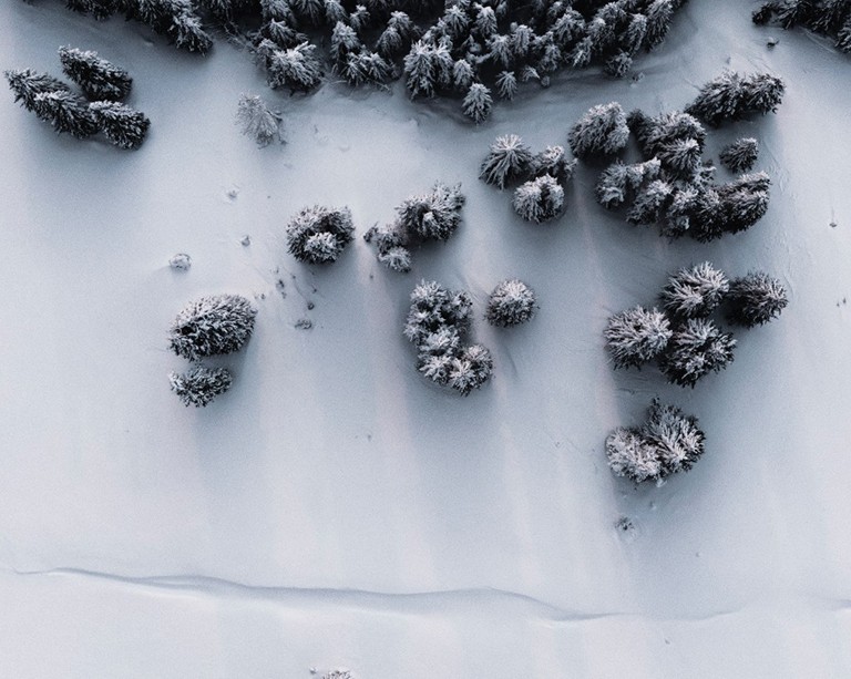 Une nouvelle étude de l’Université Concordia révèle que les changements climatiques influent sur le cycle gel-dégel et que leur effet varie selon le milieu