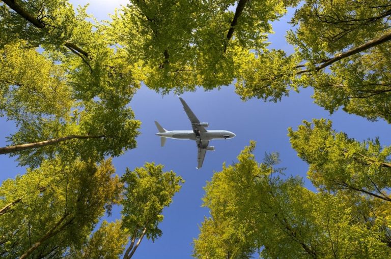 Un avion survole un cercle d'arbres verts sous un ciel bleu