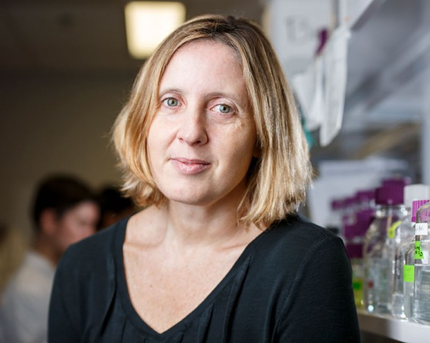 Alisa Piekny est nommée vice-doyenne de la recherche et de l’infrastructure à l’École de la santé de l’Université Concordia