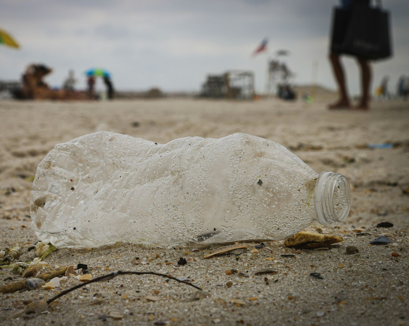 Les risques chroniques liés à l’usage des bouteilles de plastique à usage unique sont encore dangereusement mal connus, selon une nouvelle étude réalisée à l’Université Concordia