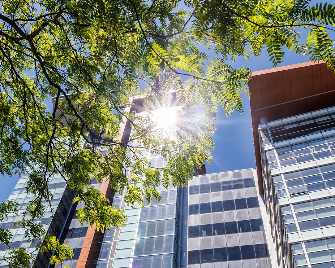 L’Université Concordia figure au palmarès 2026 des employeurs les plus écologiques au Canada
