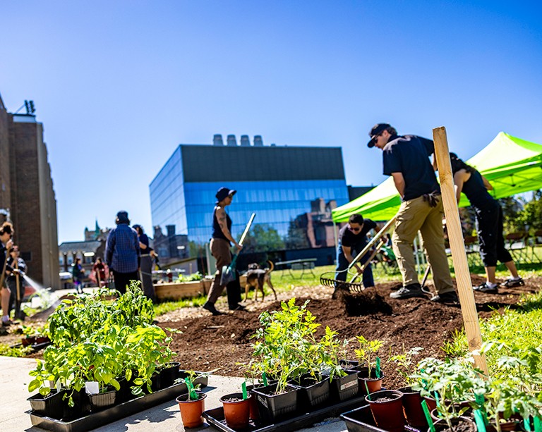 Le jardin autochtone du campus Loyola permettra de produire des aliments et des remèdes traditionnels