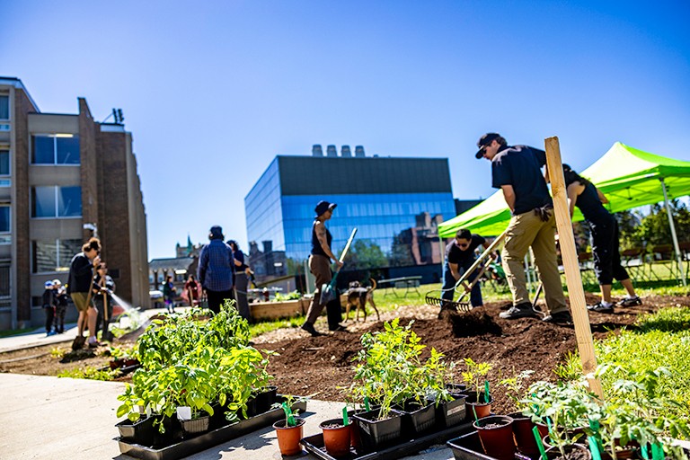 Des personnes travaillant en plein air dans un jardin communautaire
