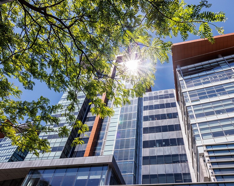 Faites connaissance avec les boursières et boursiers 2026-2027 du programme de recherche et de promotion des droits du Centre SHIFT de l’Université Concordia