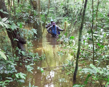 Biology professor is studying a territorial dispute between villagers in Cameroon and elephants