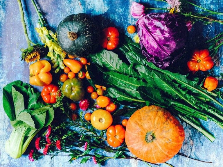 Isabelle Mailhot-Leduc: “Whether you are interested in organic agriculture, municipal food policies or Indigenous food systems, there is something for you!” | Photo by Ella Olsson on Unsplash