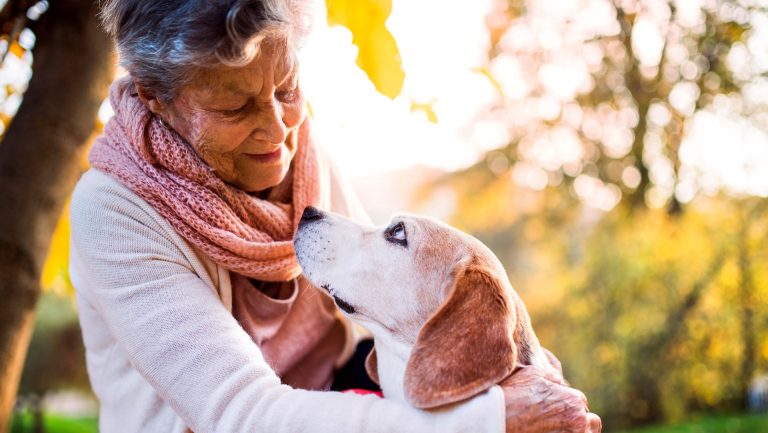 Stressed out seniors cope better by practicing self-compassion, new research shows