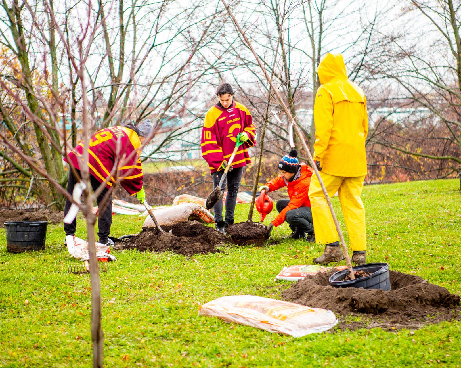 Concordia celebrates 185 new trees on the Loyola Campus