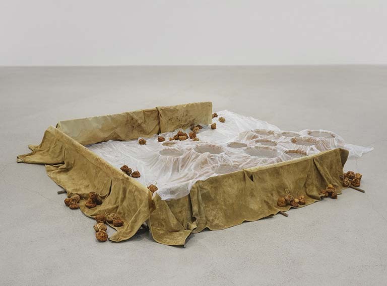Stomach, 2019, by Rochelle Goldberg. | Image Rachel Topham Photography. Courtesy Catriona Jeffries, Vancouver Stomach, 2019, by Rochelle Goldberg. | Image Rachel Topham Photography. Courtesy Catriona Jeffries, Vancouver