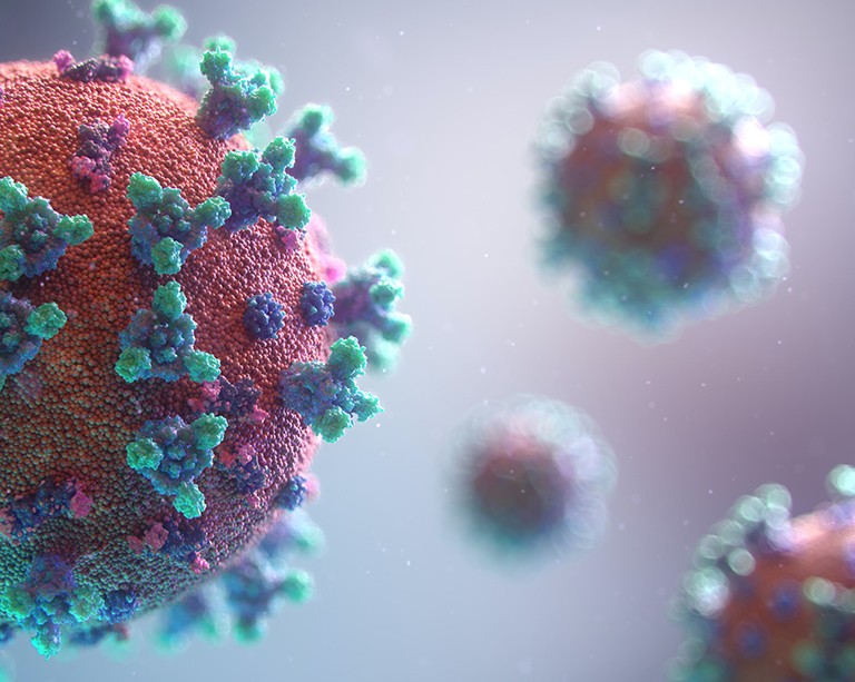 Two international postdocs are finding ways to defeat the virus that has left them stranded in Montreal