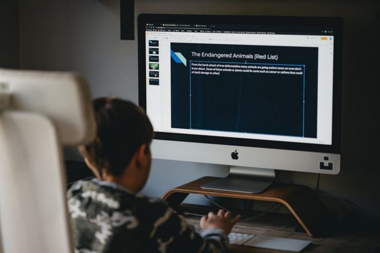 Boy at a computer