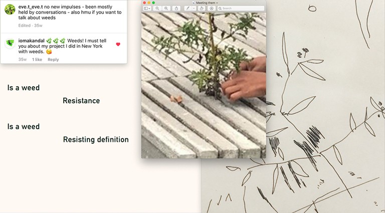 What is a weed, Screenshot, by Makandal/Tagny, 2021. Artwork entitled "What is a weed"