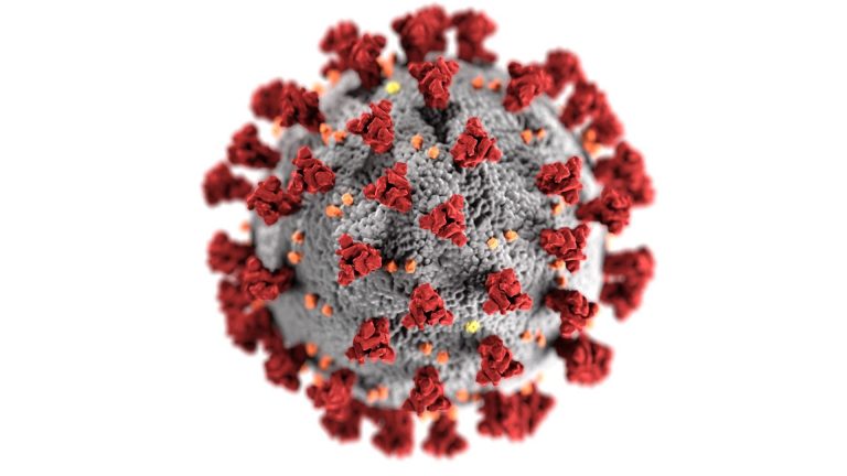 Image of the novel coronavirus