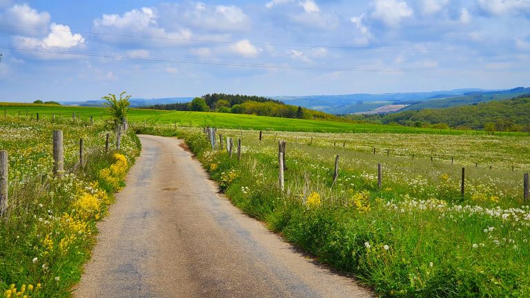 A deserted rural road out in the country.