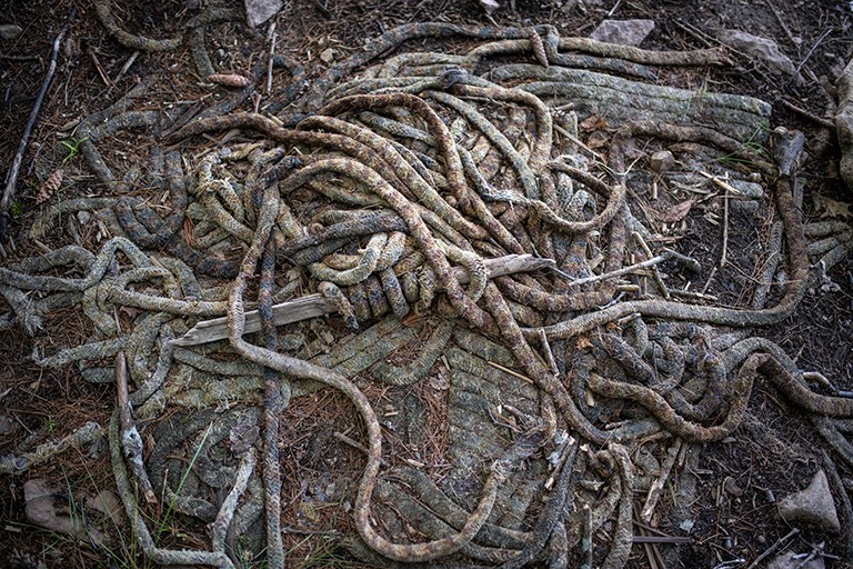 Tangled and rotting ropes lying on the ground.