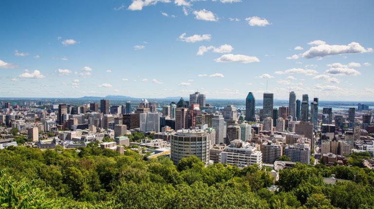 City skyline with trees in foreground at the bottom