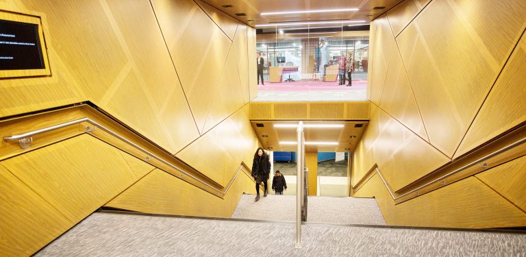Pictured: Carpeted stairs leading down into a library, with wooden walls on either side, and down the bottom people ascending the stairs