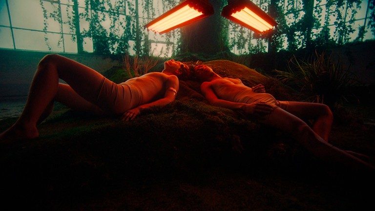 Two young men, lying head to head, in an indoor garden, under orange lights