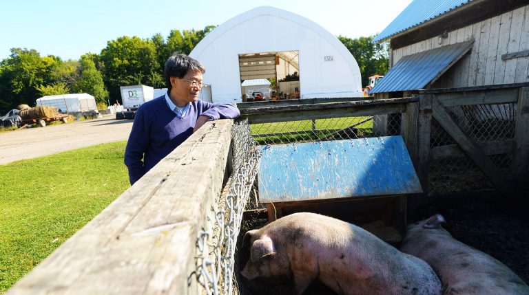 Adrian Tsang: “Decreasing antibiotic use in animal production may reduce the spread of antibiotic-resistant bacteria.” 