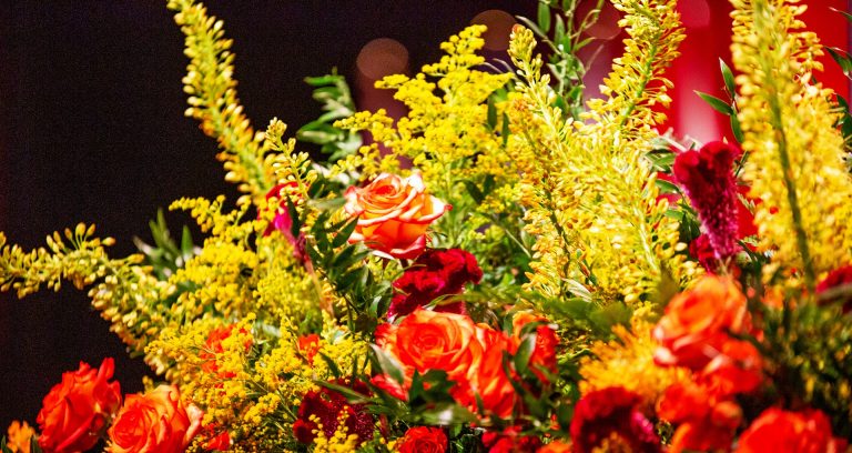 Image of flowers in colours of yellow, red and orange.