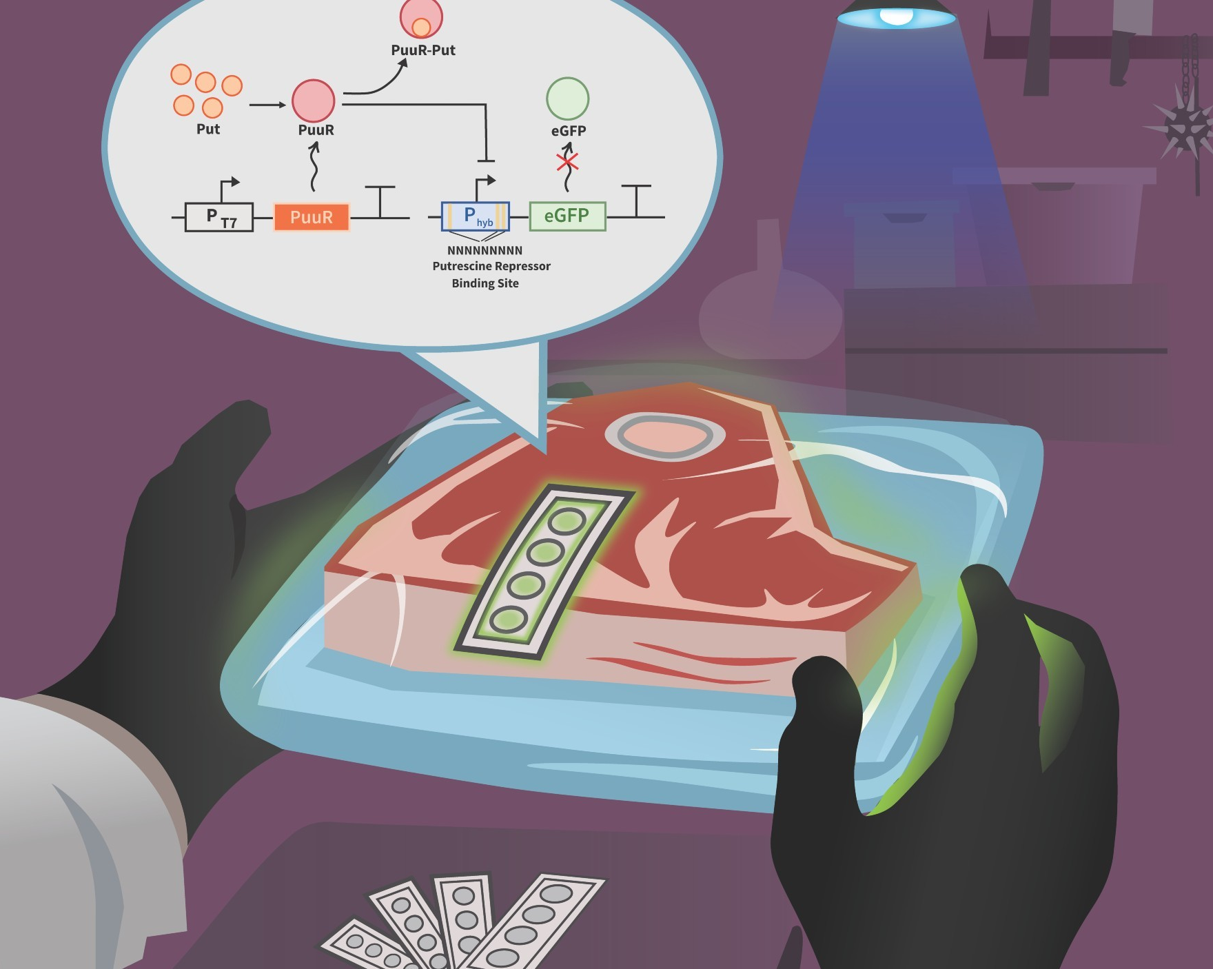 Rotten meat could be easier to detect thanks to a new biosensor system developed at Concordia