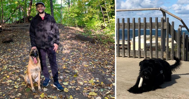 There are two photos side by side. The photo on the left features a man and dog in a wooded setting with a prevalent tree canopy . The photo on the right features a fluffy, black dog chewing on a stick while sitting.