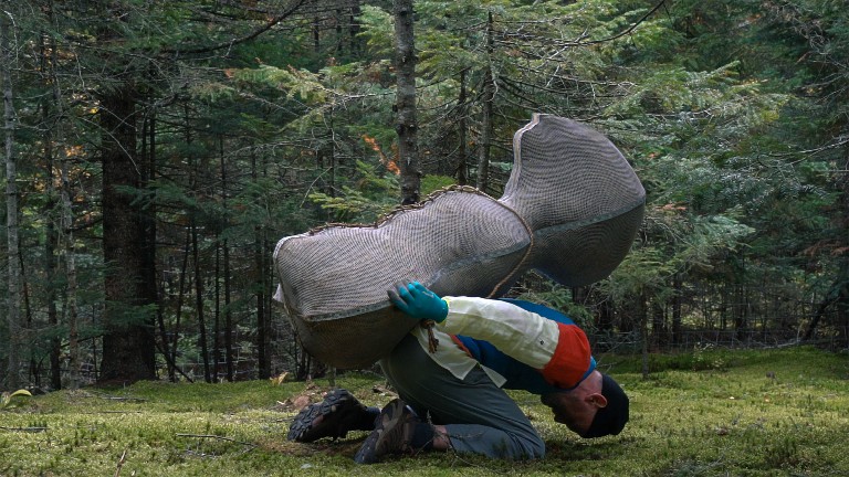 Man kneeling on grass in a forest, face near to ground, holding a large object on his back in a grey mesh-like material