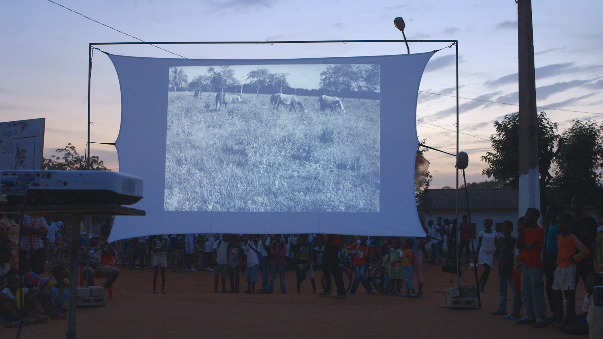 A large projector sheet strung up in an outdoor setting with people standing around, and depicting, in black and white, horses in long grass.