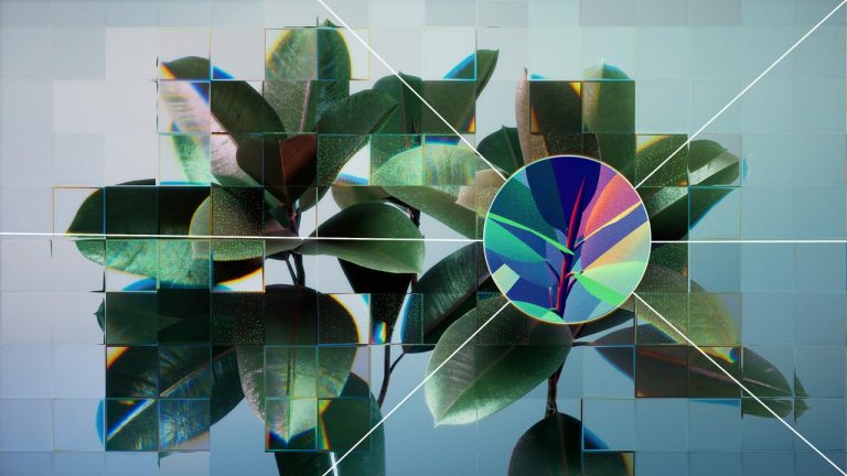 An abstract image of a plant viewed through multiple pieces of glass.