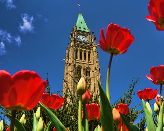 2 Concordia researchers attend the 2023 Science Meets Parliament event in Ottawa