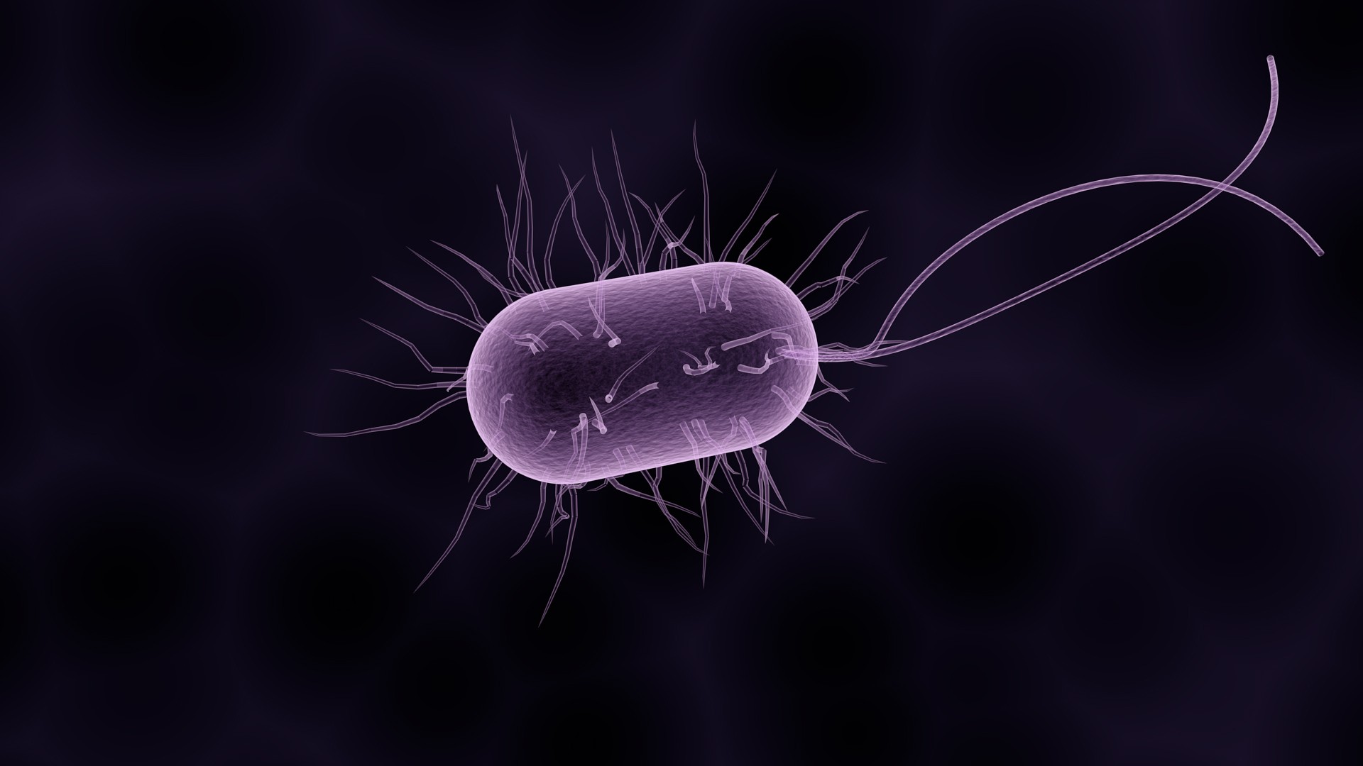 Depiction of a single cell with cilia, which are long, antenna-like organelles that extend from a cell’s surface.