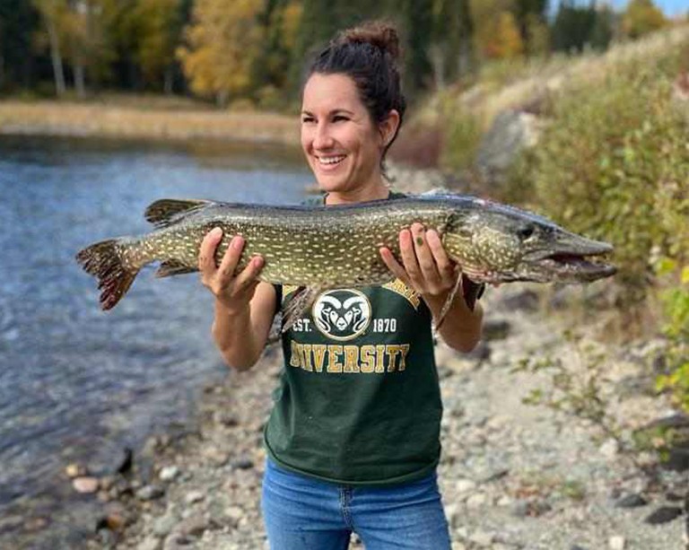 Concordia postdoctoral researcher unites the power of Indigenous and Western science