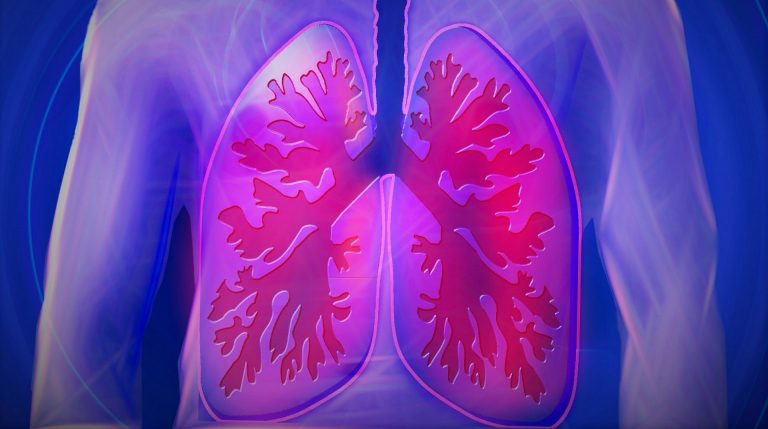 Illustration of human lungs