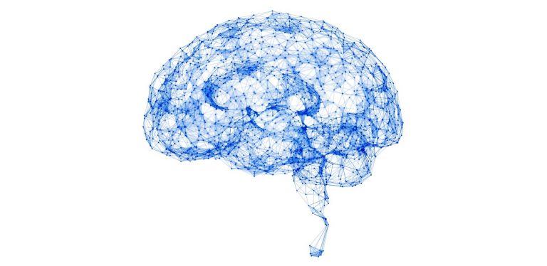 Image of a brain network
