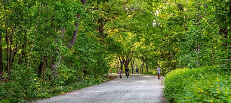 Cyclist and runners in an inner city forested area