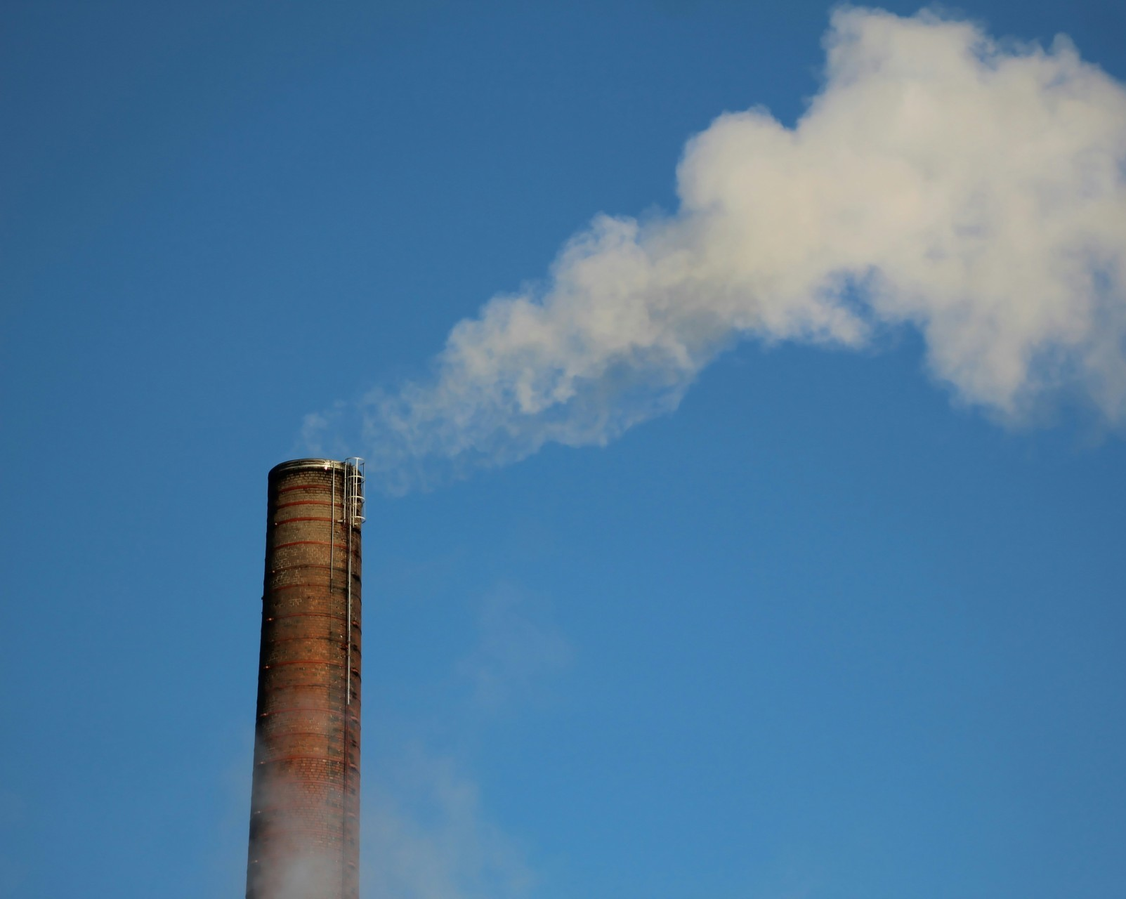 RESEARCH: Microbes may hold the key to greener, cheaper carbon capture