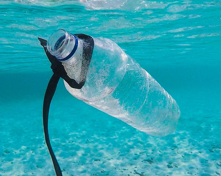 The chronic risks from single-use plastic water bottles are dangerously understudied, new Concordia research shows