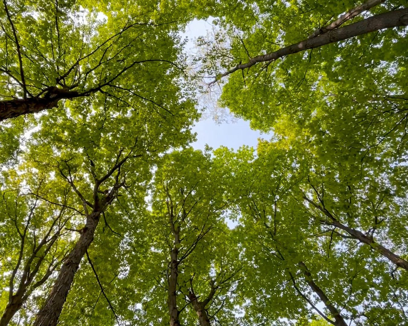 Climate Business Institute launches at John Molson School of Business