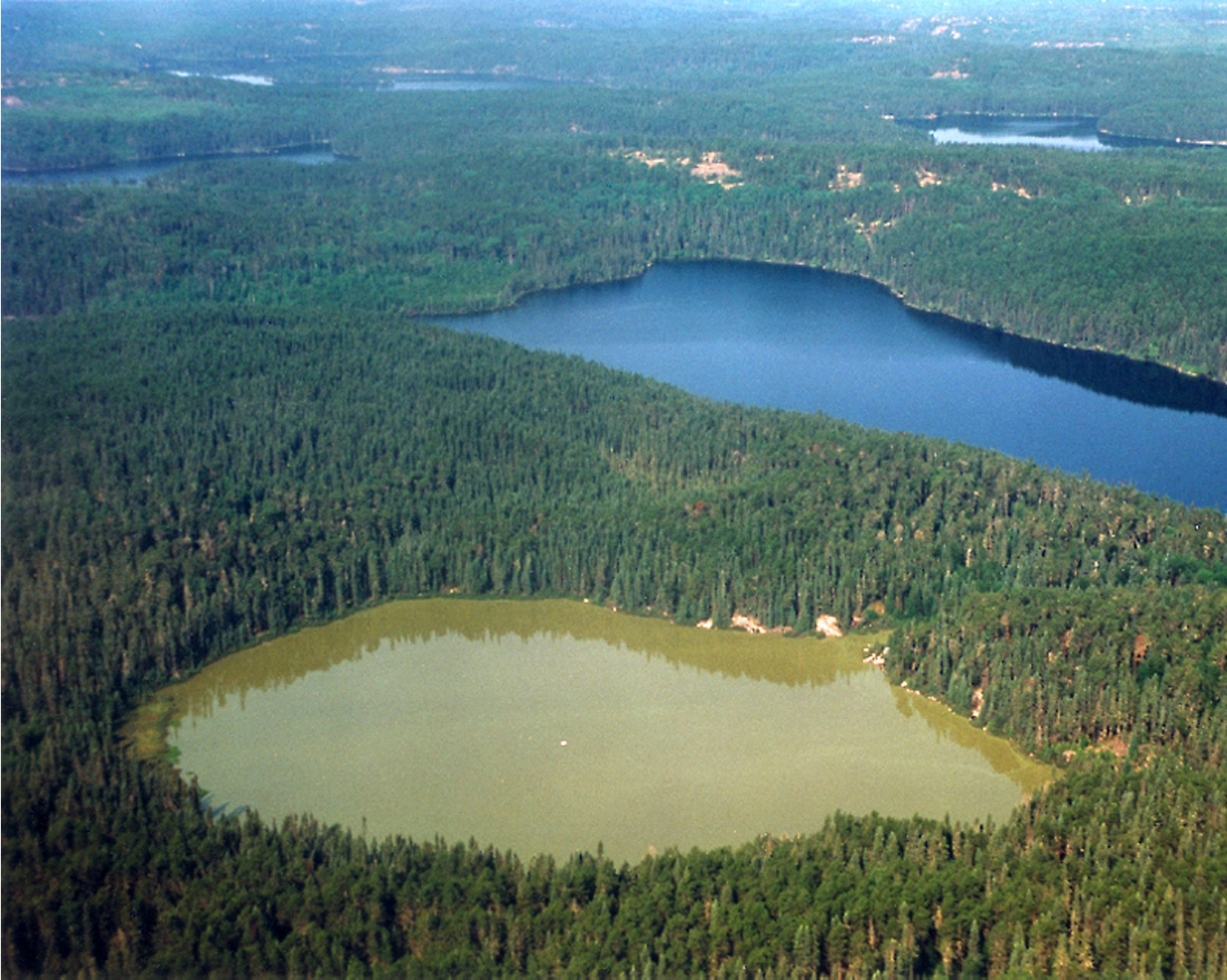 Microbial DNA sequencing reveals nutrient pollution and climate change reinforce lake eutrophication