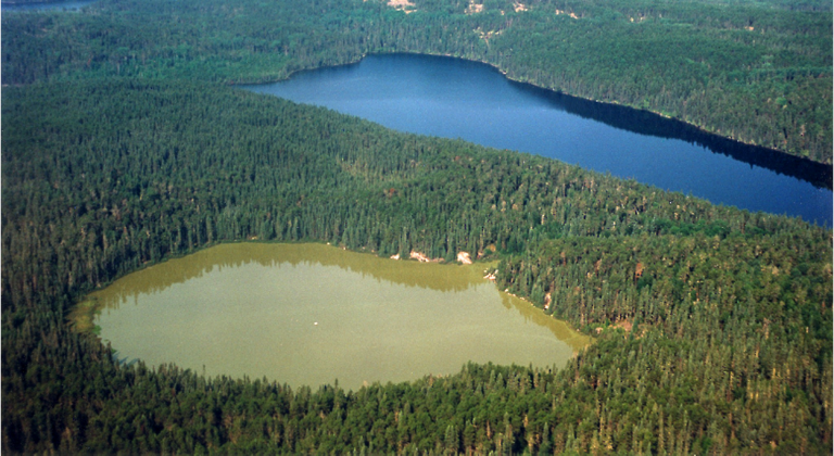 A lake showing signs of eutrophication