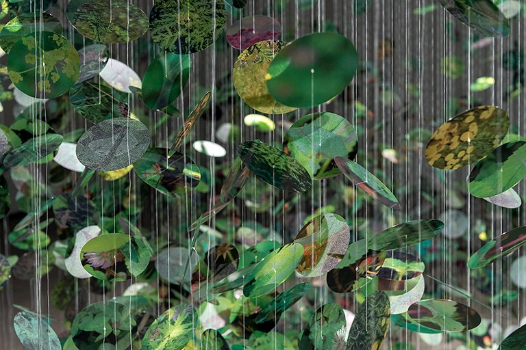 Coloured disks of glass hung from the ceiling in a gallery exhibit