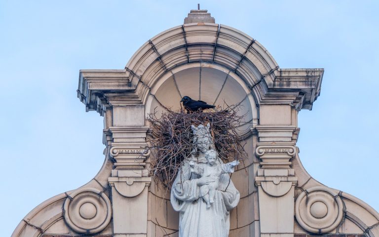 A raven in its nest on top of a statue of the Virgin Mary in a stone turret