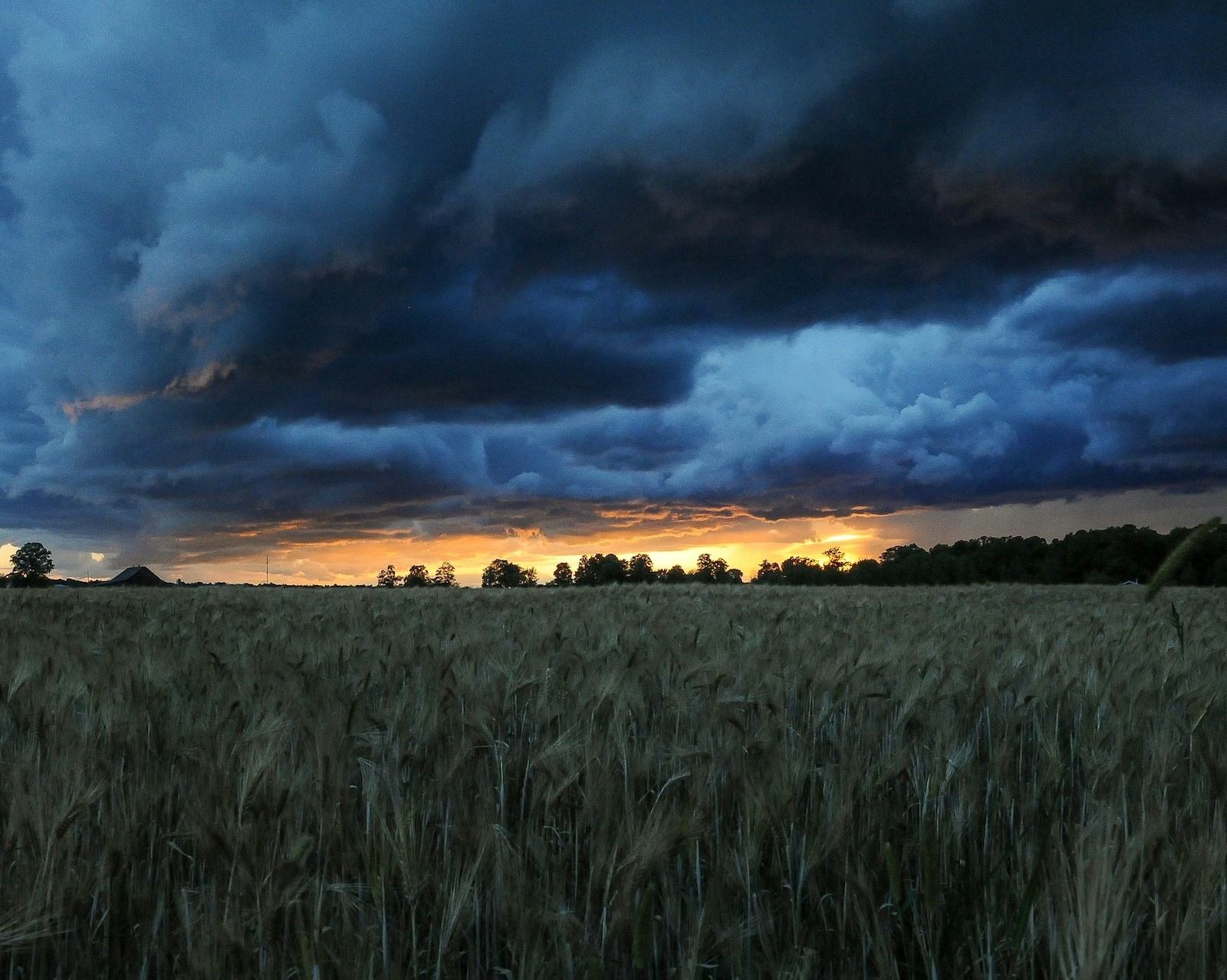 Concordia-led research project receives $5M to transform weather forecasting in Canada