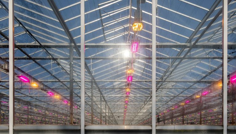 Greenhouse with lights on