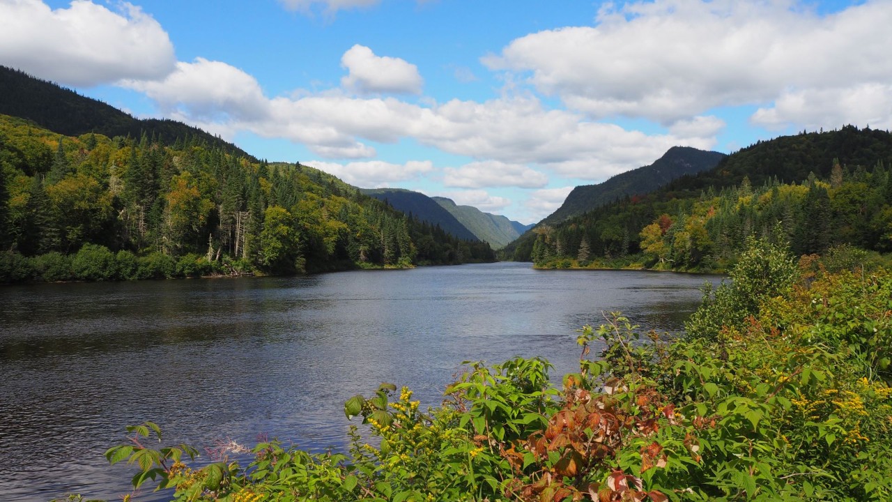 Tranquil river flowing through lush forested mountains in Quebec, Canada